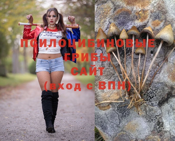 ГАЛЛЮЦИНОГЕННЫЕ ГРИБЫ Алексеевка