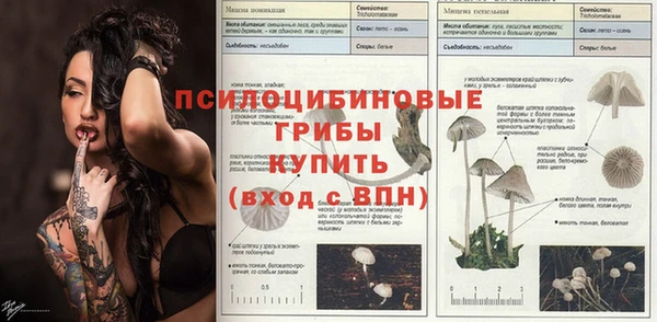 герыч Алзамай